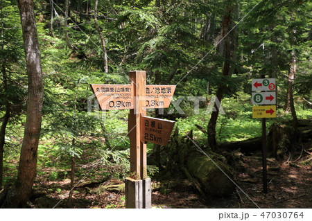 日光白根山の血の池地獄付近の道標 47030764