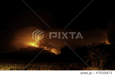 The fire was burning trees on the mountain . 47030873