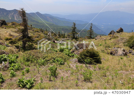 日光白根山の2400m付近から西側の武尊山方面を見る 47030947