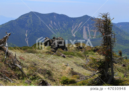 日光白根山の2400m付近から南西側の錫ヶ岳方面を見る 47030948