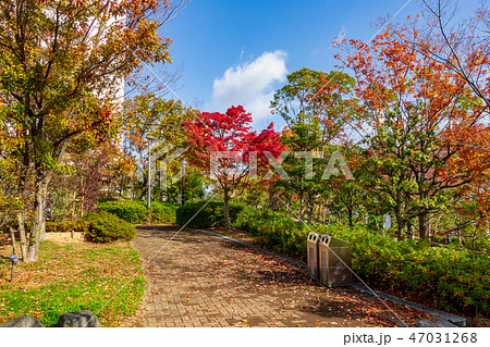 休憩所 ホスピタルパーク 紅葉 47031268