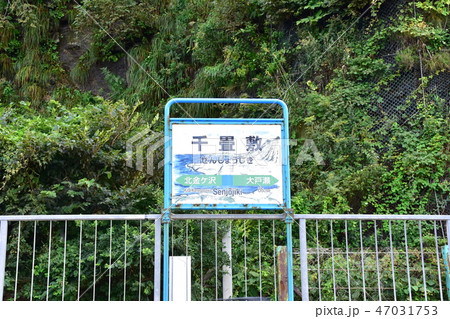 青森県　千畳敷の風景 47031753