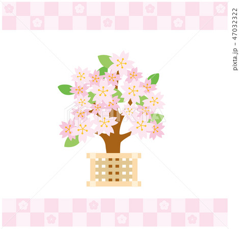 ひな祭りの雛飾り【左近の桜】 ひな祭りの雛飾り【左近の桜】 47032322