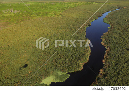 Top view of a thin river and fields around it 47032692
