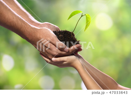Two hands holding together a green young plant 47033643