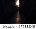 陽の光 47033849