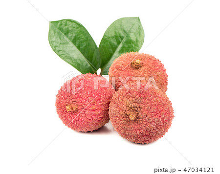 Three lychee fruits Three lychee fruits 47034121