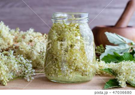 Preparation of tincture from meadowsweet blossoms 47036680