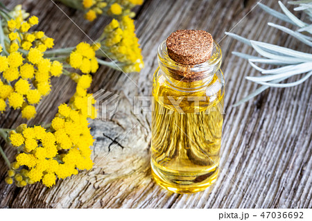 A bottle of helichrysum essential oil A bottle of helichrysum essential oil 47036692