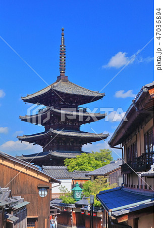 【京都府】晴天下の八坂の塔 【京都府】晴天下の八坂の塔 47036894