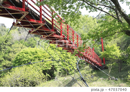 涸沼(ひぬま)自然公園 イトトンボ橋 涸沼(ひぬま)自然公園 イトトンボ橋 47037040