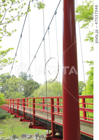 涸沼（ひぬま）自然公園　イトトンボ橋    47037046
