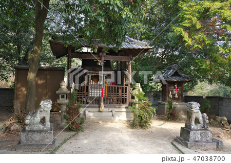 【峠八幡神社】 大阪府柏原市峠 【峠八幡神社】 大阪府柏原市峠 47038700