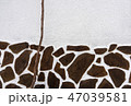Branch of vine on a background of a stuccoed wall 47039581