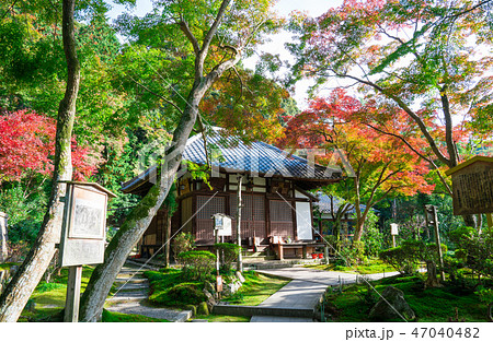京都 清閑寺の紅葉 京都 清閑寺の紅葉 47040482