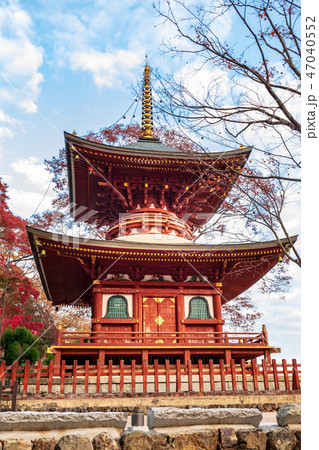 多宝塔と紅葉  47040552