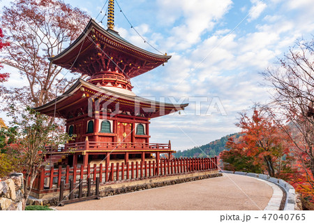 多宝塔と紅葉  47040765