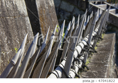 柵　竹　槍 47041822