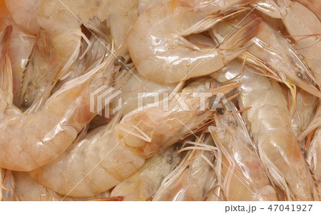 fresh shrimps 47041927