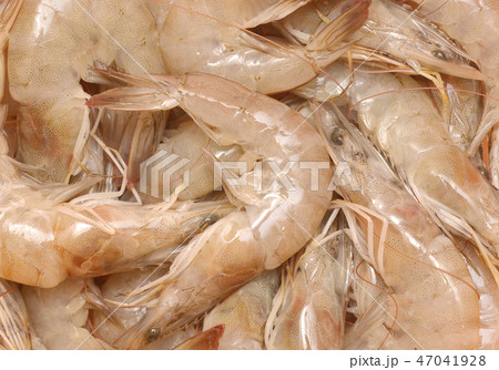 raw shrimps raw shrimps 47041928