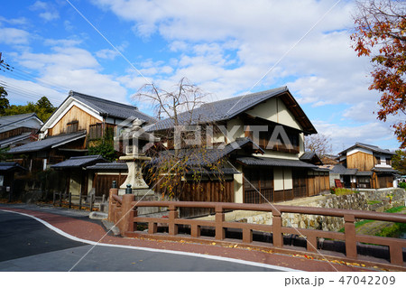 近江八幡　水郷 47042209