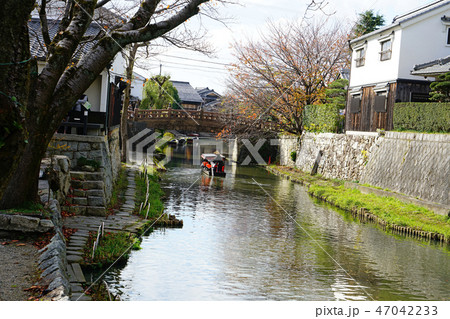 近江八幡　水郷 47042233
