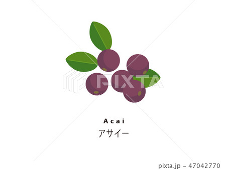 人気のスーパーフード／アサイー 47042770