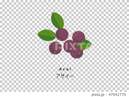 人気のスーパーフード／アサイー 47042770