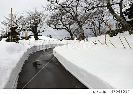 平成30年豪雪10日後の丸岡散策 丸岡城（平成30年豪雪 福井県 坂井市 丸岡町） 47043014