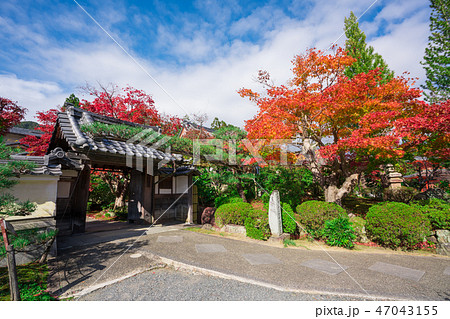 京都 正法寺(しょうぼうじ)の紅葉 京都 正法寺(しょうぼうじ)の紅葉 47043155