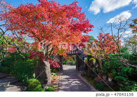 京都 正法寺(しょうぼうじ)の紅葉 京都 正法寺(しょうぼうじ)の紅葉 47043156