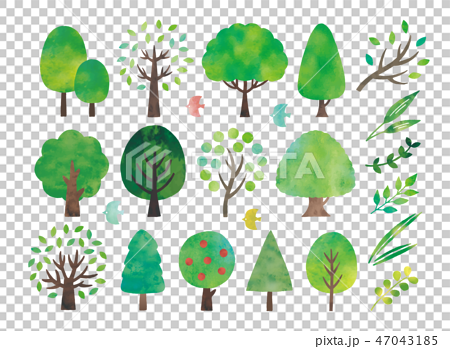 水彩の木と葉色々のイラスト素材