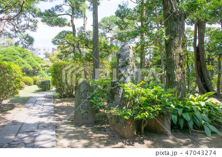 葛飾　柴又帝釈天　邃渓園　（すいけいえん） 47043274