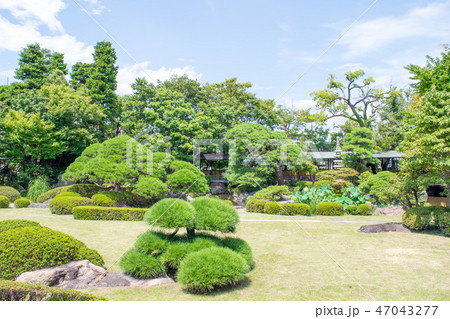葛飾 柴又帝釈天 邃渓園 (すいけいえん) 葛飾 柴又帝釈天 邃渓園 (すいけいえん) 47043277