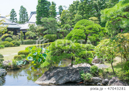 葛飾　柴又帝釈天　邃渓園　（すいけいえん） 47043281
