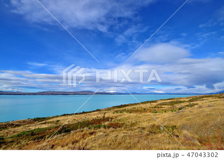 タスマン氷河から流れ出る水でできた美しい青緑色をしたプカキ湖 タスマン氷河から流れ出る水でできた美しい青緑色をしたプカキ湖 47043302
