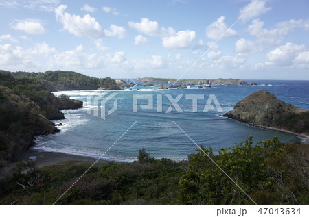 小笠原諸島 47043634