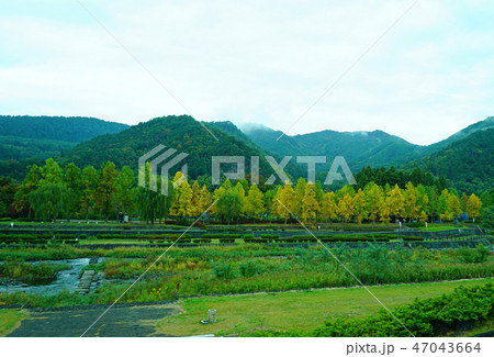 朝日岳　山形県　紅葉 47043664