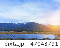 Solar panels (solar cell) in solar farm  blue sky 47043791