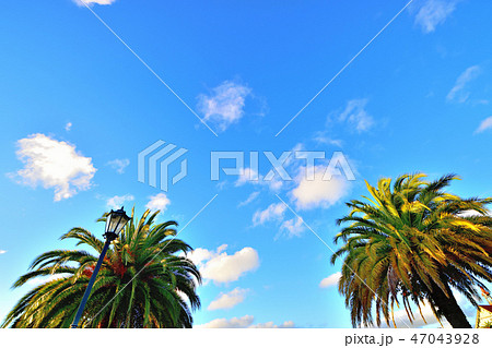 ロトルア湖とガバメント・ガーデン ロトルア湖とガバメント・ガーデン 47043928