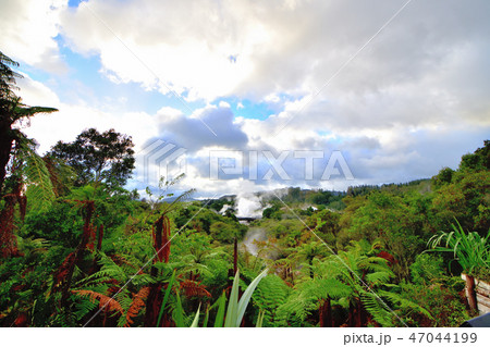 ロトルア温泉文化とマオリ文化の名所テ・プイア 47044199