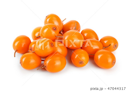 Sea buckthorn. Fresh ripe berry isolated on white background macro 47044317