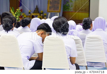 education of student  seminar in the lecture room  47044718