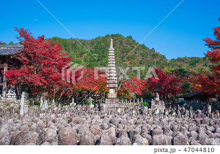 京都　化野念仏寺（あだしのねんぶつじ）の紅葉　　　　　 47044810