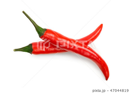red hot chili peppers isolated on white background. Top view. Flat lay red hot chili peppers isolated on white background. Top view. Flat lay 47044819