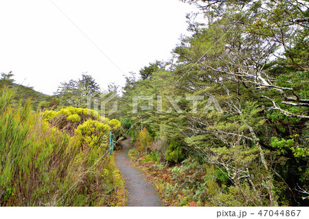 マオリの人々の聖地トンガリロ国立公園とベイビュー・シャトートンガリロホテル 47044867