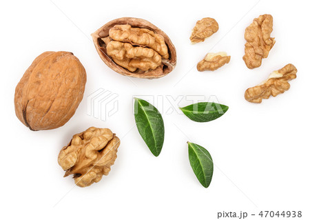 Walnuts with leaf isolated on white background. Top view. Flat lay Walnuts with leaf isolated on white background. Top view. Flat lay 47044938