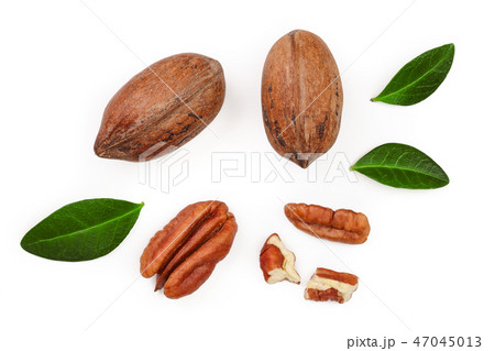 pecan nut decorated with green leaves isolated on white background. Top view. Flat lay 47045013
