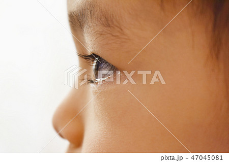 見つめる子供　集中する子供　子供の横顔　集中するイメージ 47045081