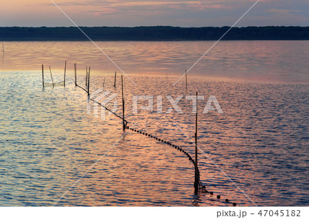 View of sunrise in lagoon Orbetello  47045182